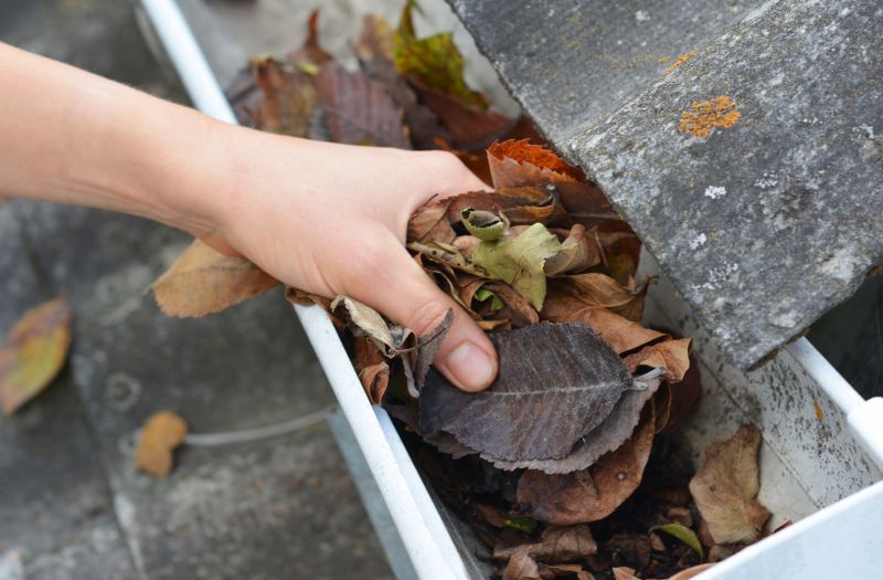 Fall Gutter Clearing